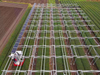 Paneles solares montados en el suelo para la granja y la agricultura