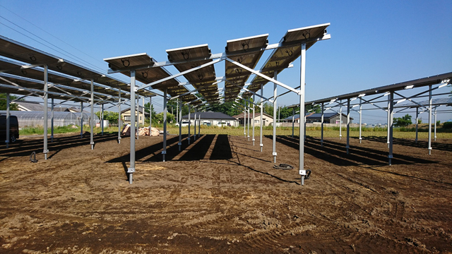 Paneles solares montados en el suelo para la granja y la agricultura
