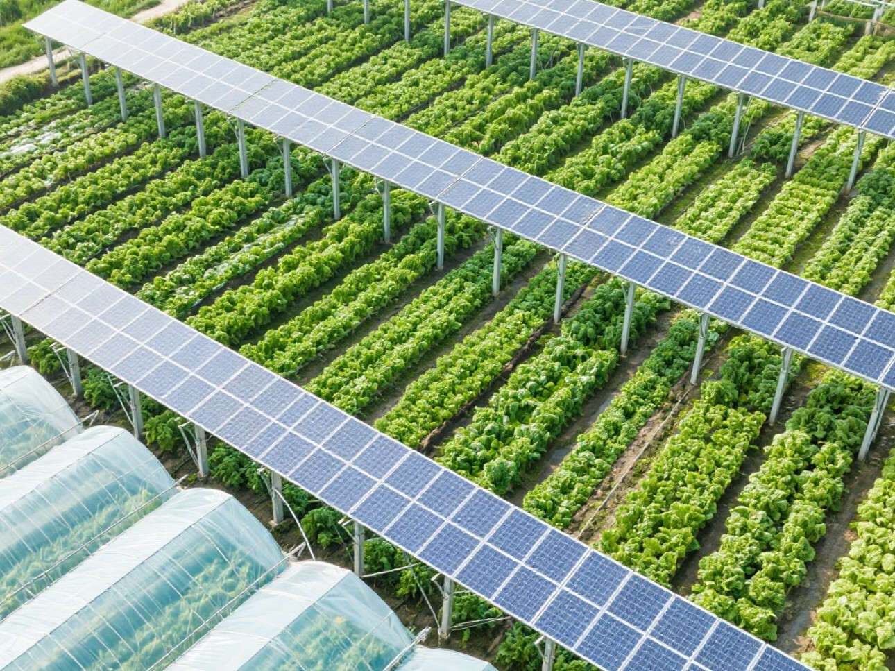 ¿Qué tipo de sistema de soporte se usa típicamente en granjas solares?