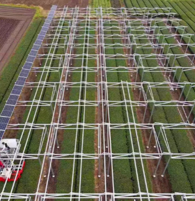 ¿Para qué se usan las granjas solares?